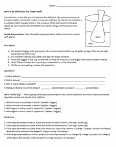 worksheet