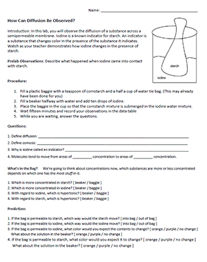 Investigation: How Can Diffusion Be Observed?