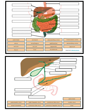 labeling slides
