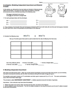 worksheet