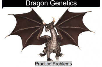 Dragon Genetics