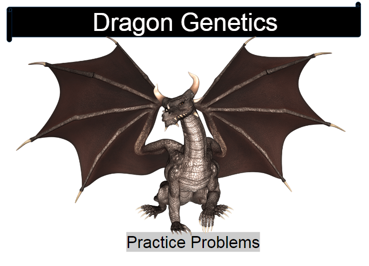 dragon genetics