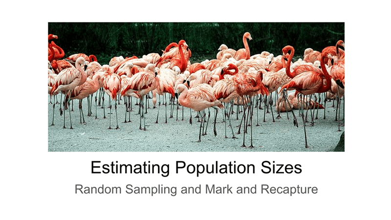 Estimating Population Size – Remote Learning Unit