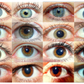 eye colors
