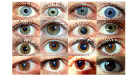 eye colors