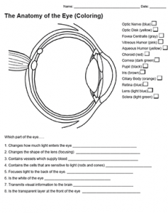 worksheet