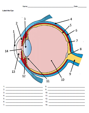 Pdf Label The Eye Diagram