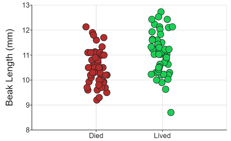 finches graph