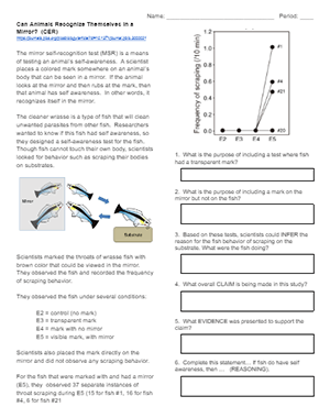 fish worksheet