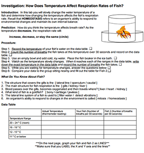 Investigation: How Does Temperature Affect Respiration?