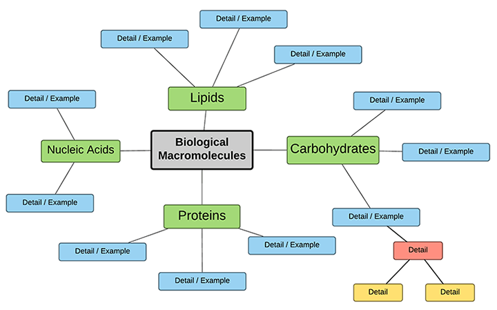 Biological Macromolecules Chart