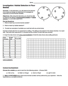 worksheet