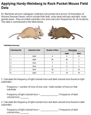 hardy-weinberg-mice