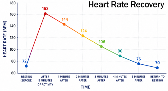 heart rate recovery graph