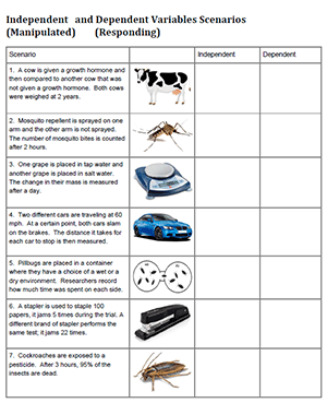 research variables worksheet