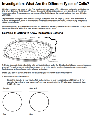 worksheet