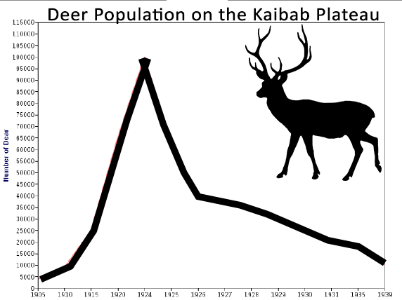 kaibab graph