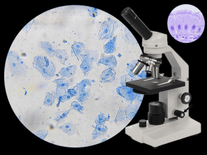 cell lab