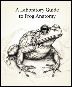 frog manual
