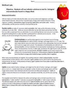 lab guide