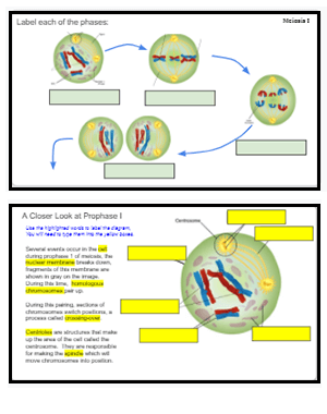 Google Slides