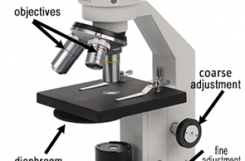 Microscope Introduction – “e” Lab