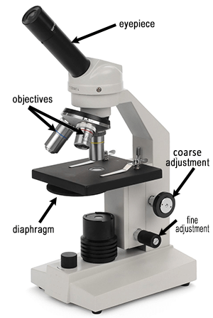 Microscope Introduction – “e” Lab