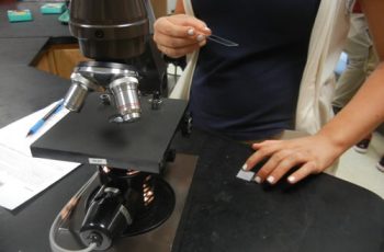 Introduction to the Light Microscope