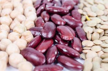 Measuring Biodiversity Using Beans