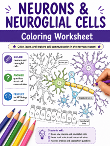 neuron coloring page