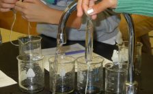 Investigation:  Osmosis and Water Potential