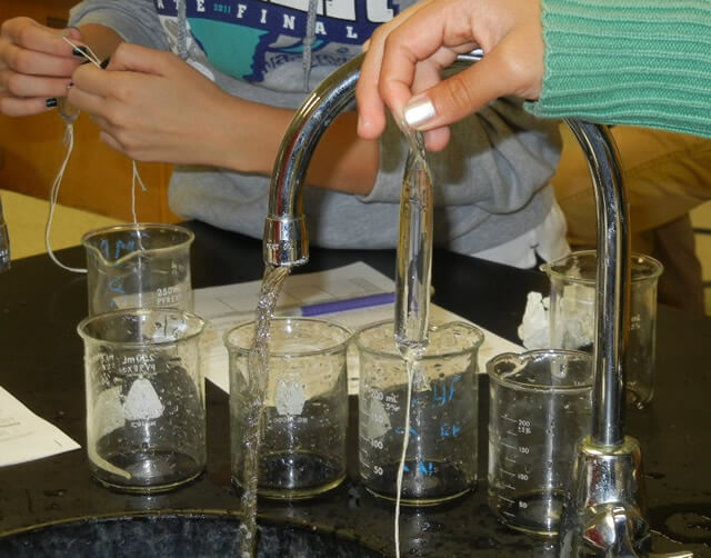 Investigation Osmosis and Water Potential in Carrots
