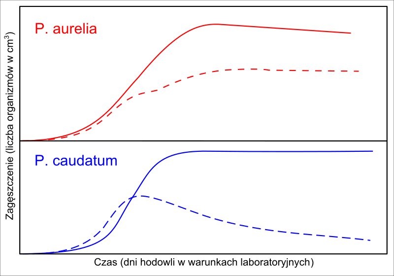 Population Biology with Paramecium