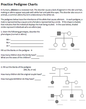 Pedigree Chart Analysis Worksheet