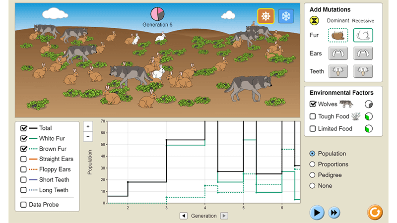 Explore Bunny Selection and Mutations with PHET