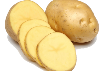 Investigation:  The Effect of Salt on a Potato