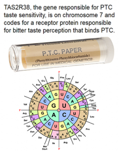 PTC and codons