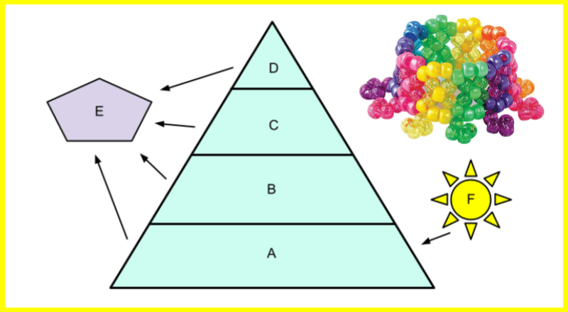 Modeling Ecological Pyramids