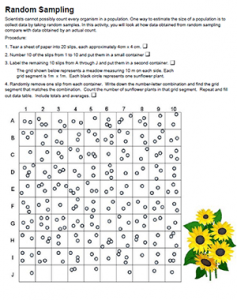 worksheet