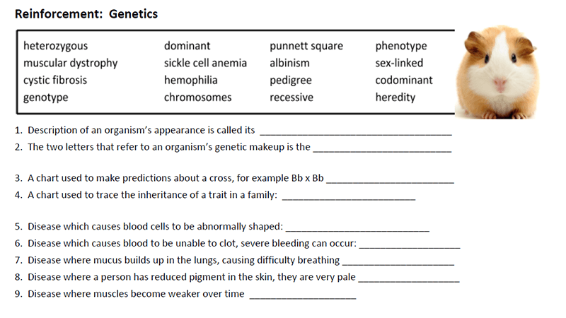 spongebob-genetics-answer-key-printables-of-genetic-practice-problems-worksheet-answers