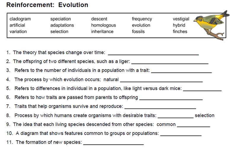 Reinforcement: Evolution