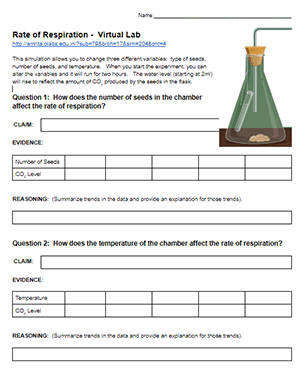 respiration lab