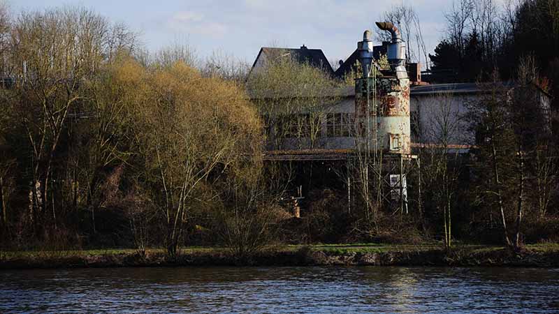 Ecology Teaching Resources