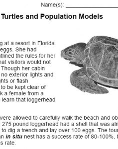 case study loggerhead turtles and population models worksheet answers