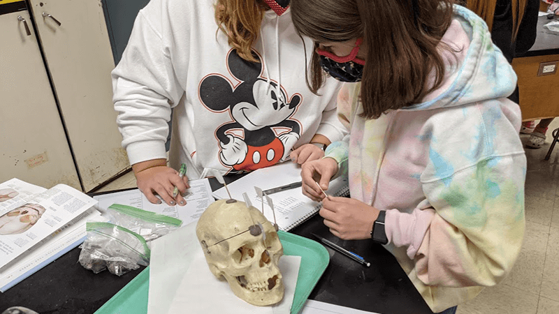 A Student’s Guide to Learning the Human Bones