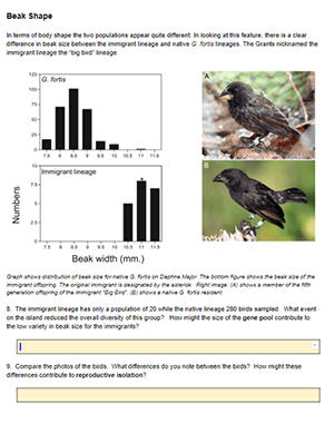 speciation of finches
