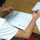 Turtle nests are found near areas where tourists visit image