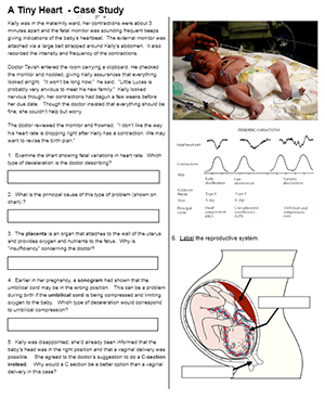 worksheet