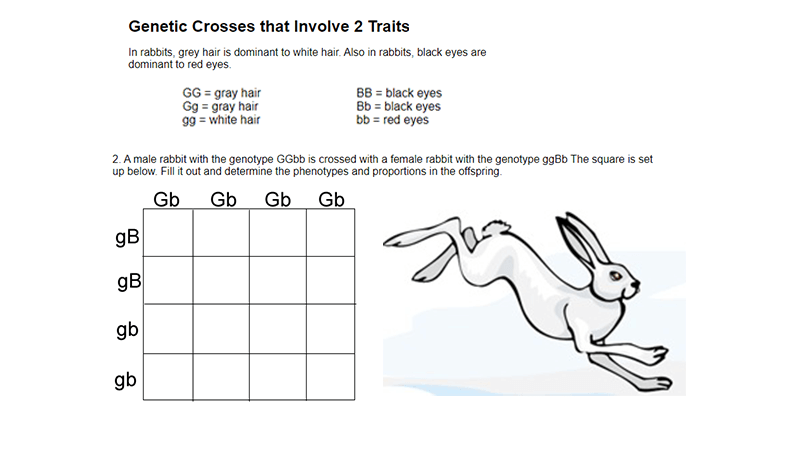 Big Ideas In Biology Chart Answers