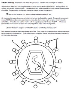 virus coloring